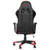 Silla Gamer X-Lizzard SG-02